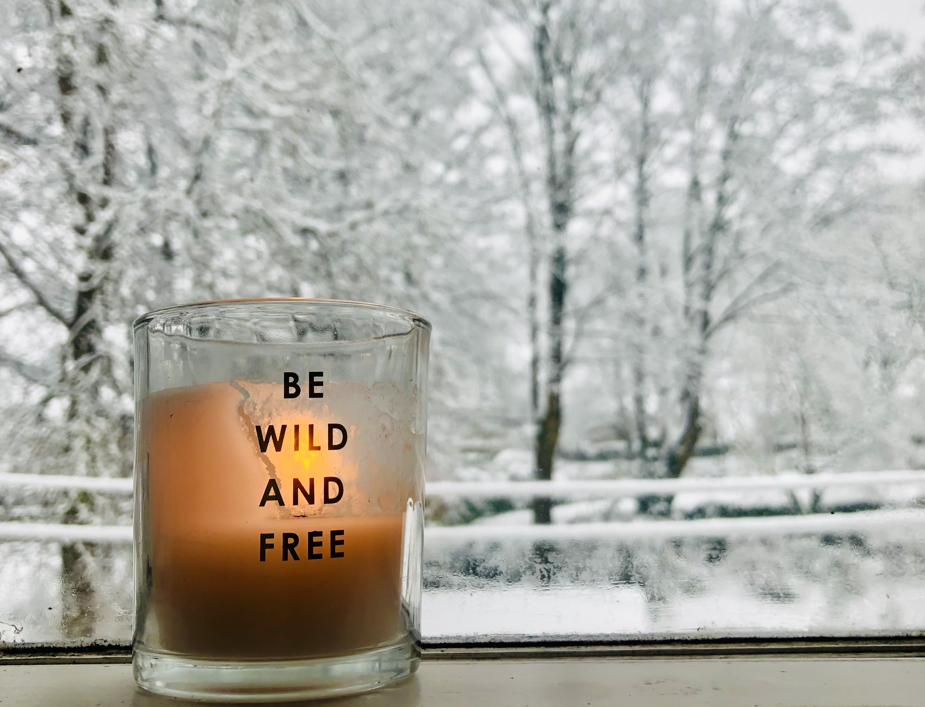 Or…We Could Just Stay Here