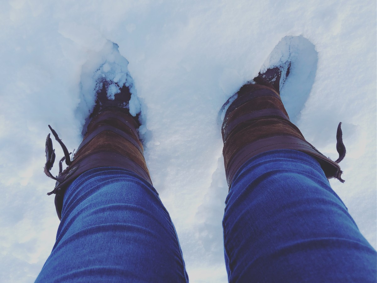 Disclaimer: this is my&nbsp;disclaimer